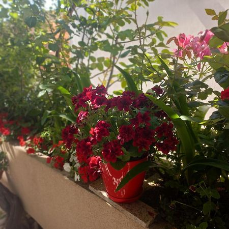 Apartments Gazi 乌尔齐尼 外观 照片